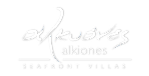 logo_decoration
